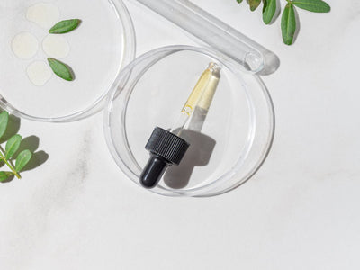 Climate‑Proof Hair Care: Protecting Your Scalp in Humid Manila - andyou.ph 